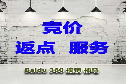 百度竞价排名实战：某行业领先企业的成功之路